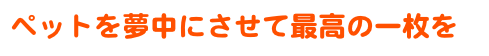 eLXg {bNX: ybg𖲒ɂčō̈ꖇ